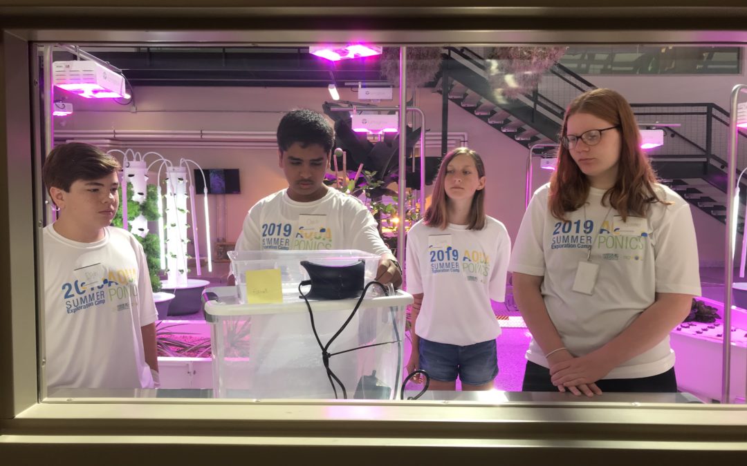 Middle school and high school students participating in the summer enrichment program introducing aquaponics offered jointly between Commonwealth Charter Academy and Harrisburg University