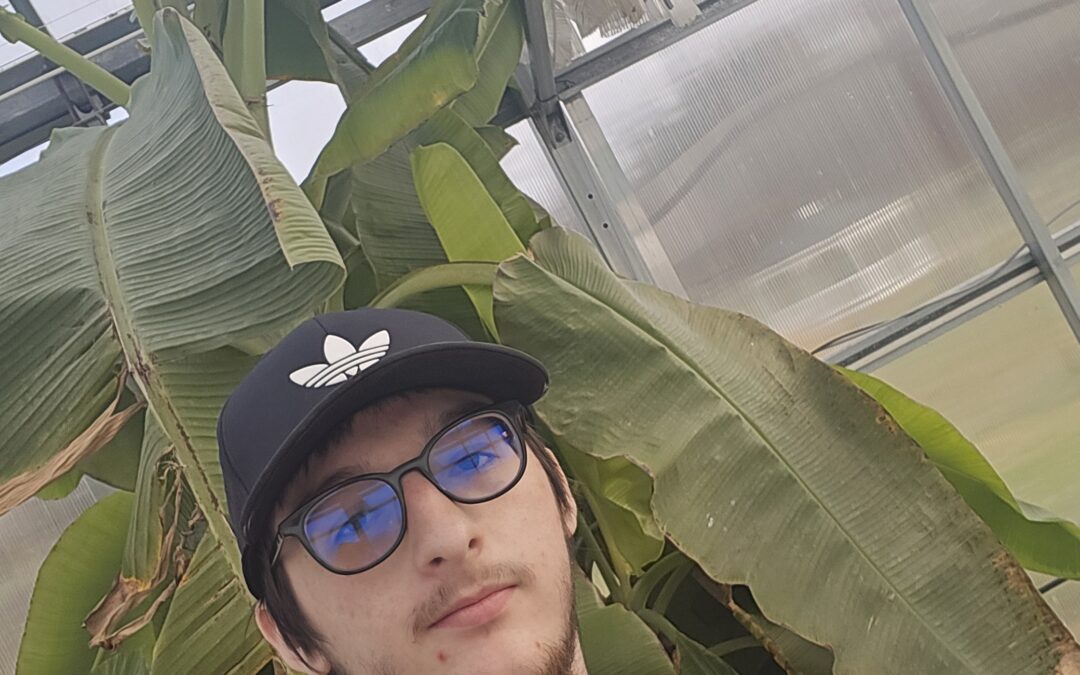 Harrisburg University undergraduate Game Design student Aodhan Wills